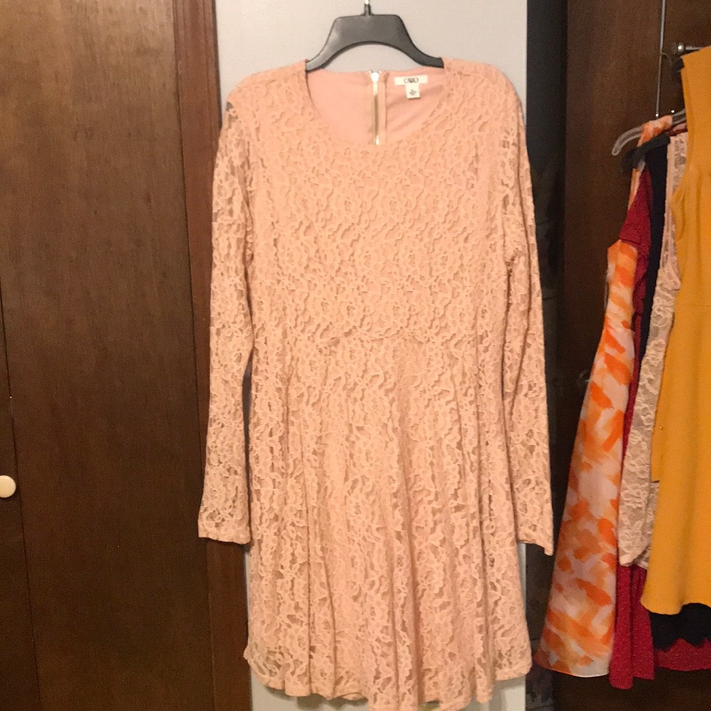 Long sleeved pink lace fit & Flare NWOT
